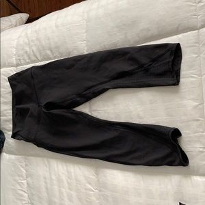 Wunder under mesh crop